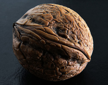 photography of wallnut thumbnail