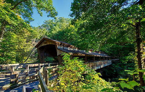 wood, landscape, nature, landmark thumbnail