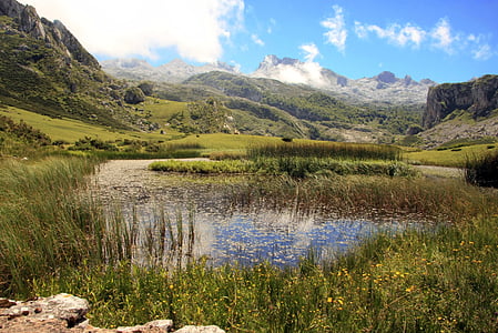 body of water surrounded by grass field thumbnail