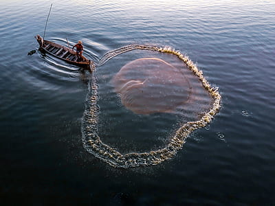 net, fish, fisherman, boat thumbnail