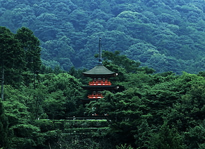 black and red temple in forest thumbnail