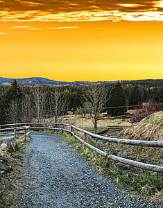 wood, road, landscape, nature thumbnail