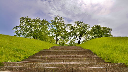green trees under cloudy sky thumbnail