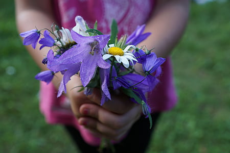 girl holding a purple and white petaled flowers thumbnail