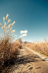 road in between field during daytime thumbnail