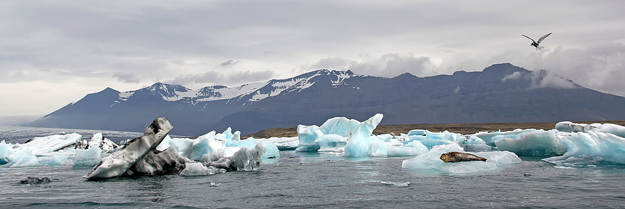 Lagoon Jökulsárlón, Iceland thumbnail
