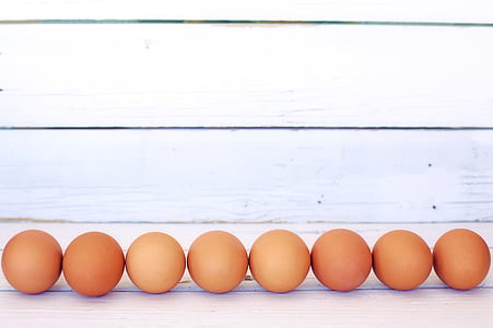 brown eggs forming line thumbnail