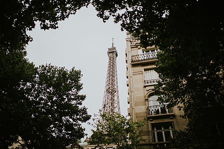 low angle photography of tower thumbnail
