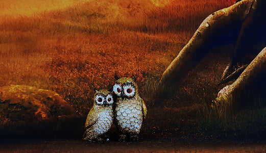 two owl painting thumbnail