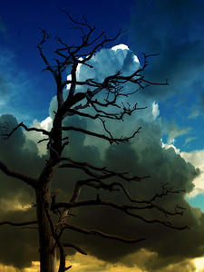 bare tree photo during daytime thumbnail