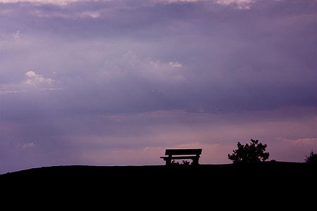 silhouette of trees under cloudy sky thumbnail