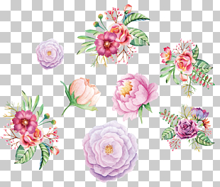 Watercolor painting Flower Floral design, Watercolor hand painted flower decoration, carnation flowers animated illustration PNG clipart