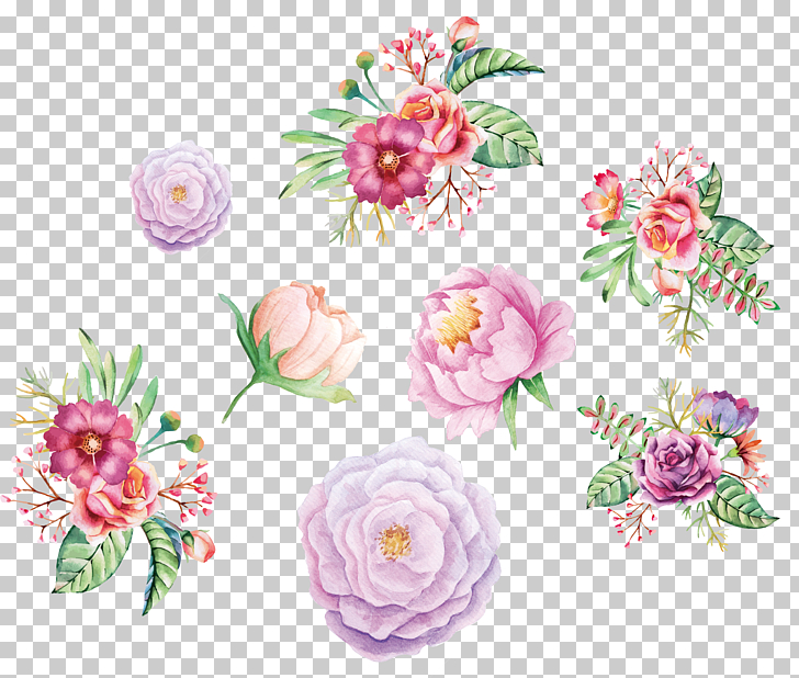 Watercolor painting Flower Floral design, Watercolor hand painted flower decoration, carnation flowers animated illustration PNG clipart