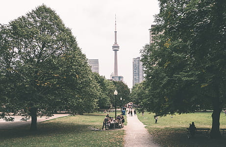 city, road, landscape, nature thumbnail