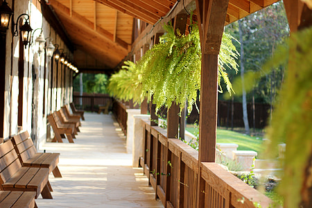 hanging plants on balcony thumbnail