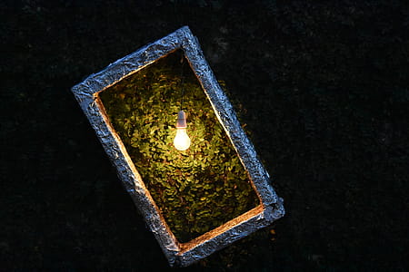 Light Bulb on Plant Box thumbnail