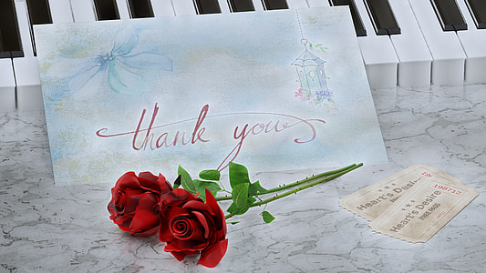 two red petaled flowers thumbnail