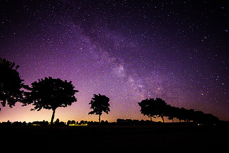 silhouette photo of trees under purple sky thumbnail