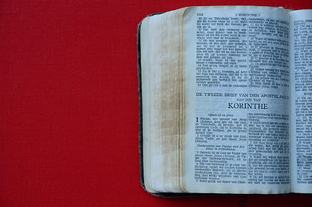 Holy Bible thumbnail