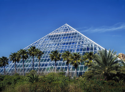 triangular white and blue building near coconut trees thumbnail