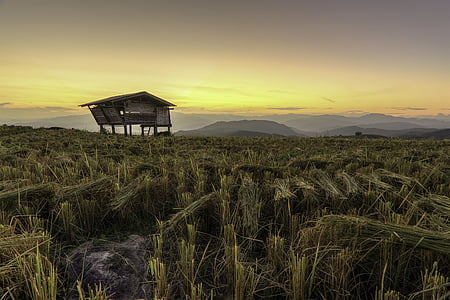 brown wooden hut thumbnail