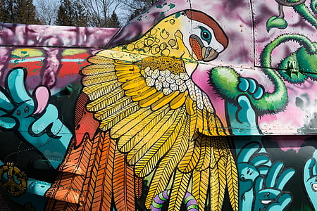 parrot illustration thumbnail