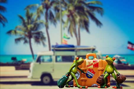 two green toy frogs near orange suitcase wallpaper thumbnail