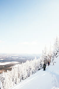 two persons walking beside snow trees thumbnail