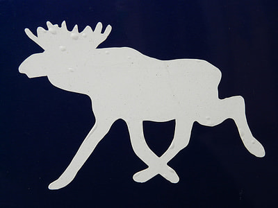 white moose illustration thumbnail
