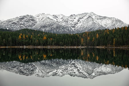 reflective photography of mountain and trees thumbnail