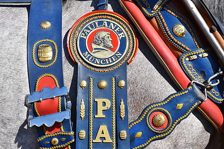blue Paulaner leather horse saddle on horse thumbnail