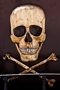 beige skull wall decor thumbnail