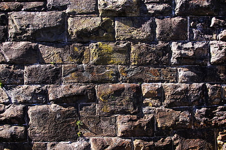 closeup photography of gray concrete wall at daytime thumbnail