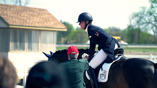 person riding on black horse during daytime thumbnail