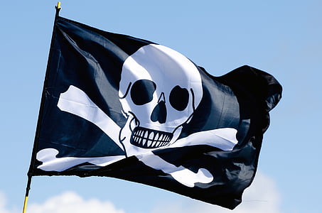 close-up photo of pirate flag thumbnail