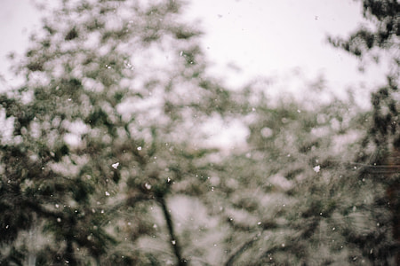 Falling snow thumbnail