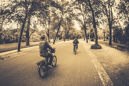 two persons riding bikes at the road near trees and bench thumbnail