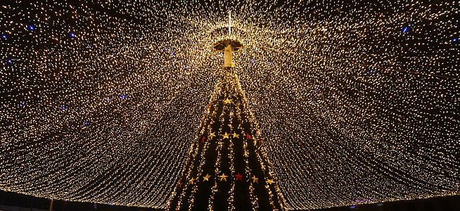 low angle photography of turned-on lights of Christmas tree thumbnail