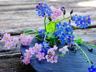 shallow focus photography of pink and blue flowers thumbnail