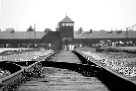 Black Metal Train Rails thumbnail