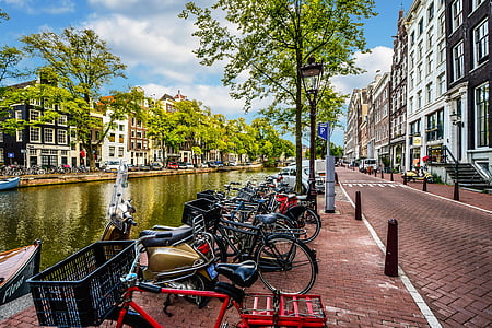 park bicycle near the body of water thumbnail