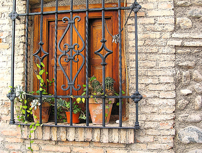 green leafed plants near black steel window grill at daytime thumbnail