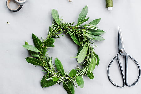 Green Leaf Wreath on White Surface thumbnail