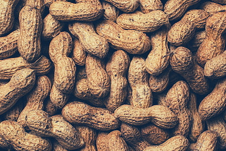 brown peanut lot thumbnail