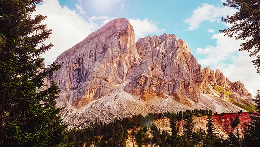 brown mountain surrounded with trees thumbnail