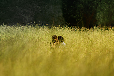 man and woman kissing in grass field during daytime thumbnail