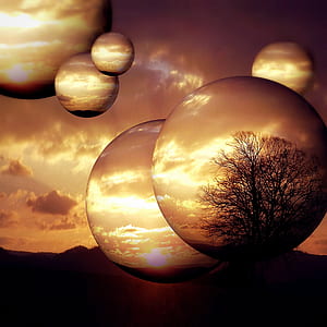tree inside sphere illusion photo thumbnail