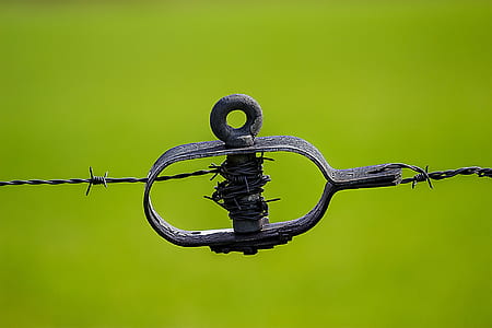 Black Barbwire thumbnail
