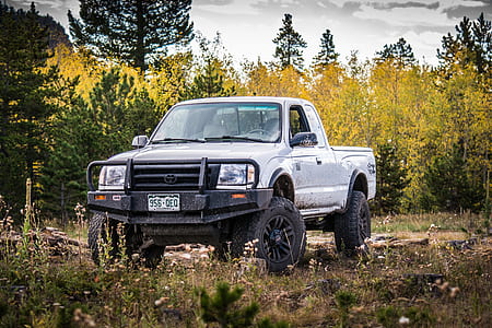 white crew cab pickup truck near tree thumbnail
