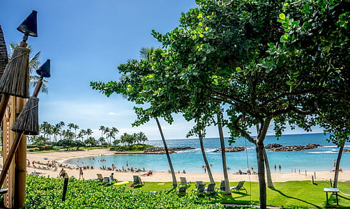 people swimming on beach thumbnail